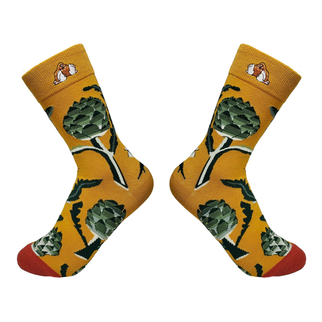 Fly Cacti