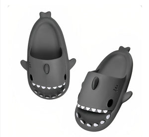 Shark Slides